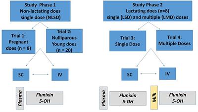 Pharmacokinetic Parameters and Estimated Milk Withdrawal Intervals for Domestic Goats (Capra Aegagrus Hircus) After Administration of Single and Multiple Intravenous and Subcutaneous Doses of Flunixin Meglumine